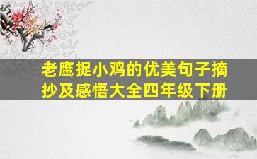 老鹰捉小鸡的优美句子摘抄及感悟大全四年级下册