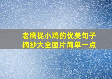 老鹰捉小鸡的优美句子摘抄大全图片简单一点