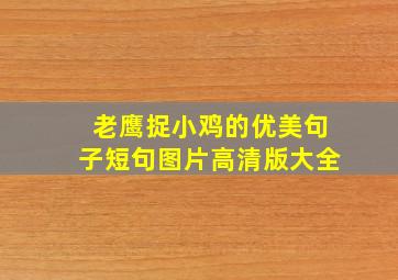 老鹰捉小鸡的优美句子短句图片高清版大全