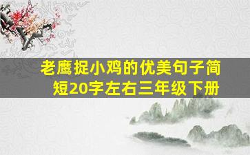 老鹰捉小鸡的优美句子简短20字左右三年级下册