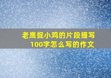 老鹰捉小鸡的片段描写100字怎么写的作文