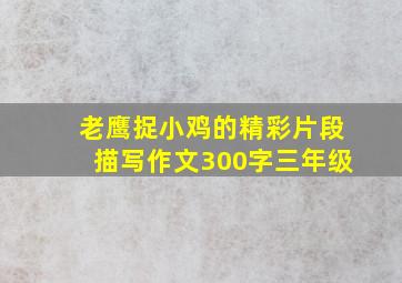 老鹰捉小鸡的精彩片段描写作文300字三年级