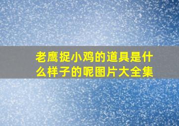 老鹰捉小鸡的道具是什么样子的呢图片大全集