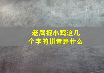 老鹰捉小鸡这几个字的拼音是什么