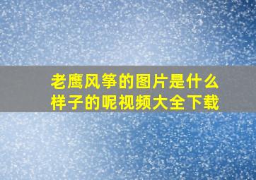 老鹰风筝的图片是什么样子的呢视频大全下载