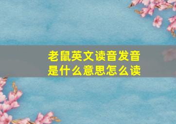 老鼠英文读音发音是什么意思怎么读