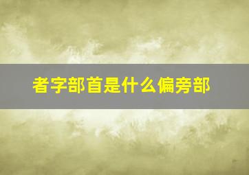 者字部首是什么偏旁部