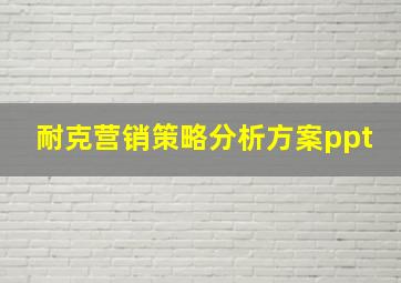 耐克营销策略分析方案ppt