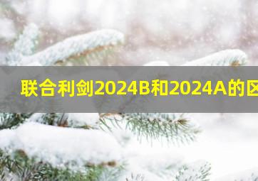 联合利剑2024B和2024A的区别