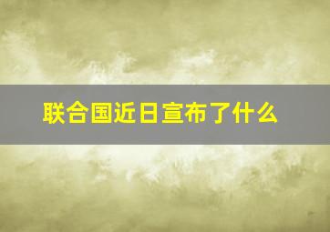 联合国近日宣布了什么