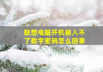 联想电脑开机输入不了数字密码怎么回事