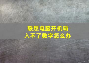 联想电脑开机输入不了数字怎么办