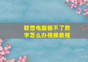 联想电脑输不了数字怎么办视频教程