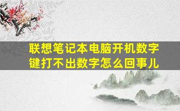 联想笔记本电脑开机数字键打不出数字怎么回事儿