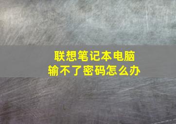 联想笔记本电脑输不了密码怎么办