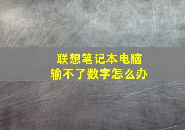 联想笔记本电脑输不了数字怎么办