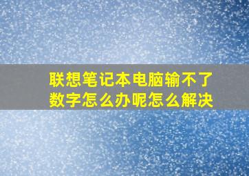 联想笔记本电脑输不了数字怎么办呢怎么解决