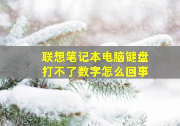 联想笔记本电脑键盘打不了数字怎么回事