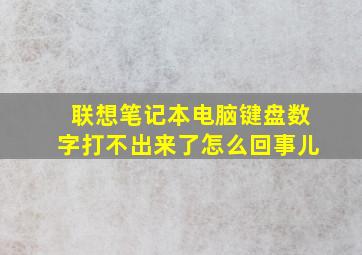 联想笔记本电脑键盘数字打不出来了怎么回事儿