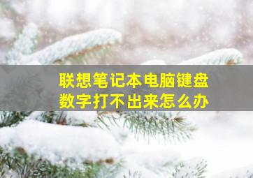 联想笔记本电脑键盘数字打不出来怎么办