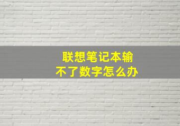 联想笔记本输不了数字怎么办