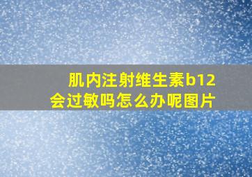 肌内注射维生素b12会过敏吗怎么办呢图片