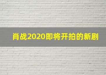 肖战2020即将开拍的新剧