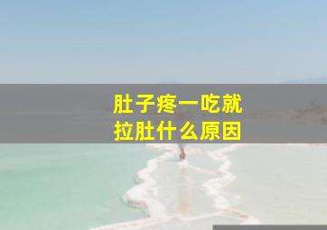 肚子疼一吃就拉肚什么原因