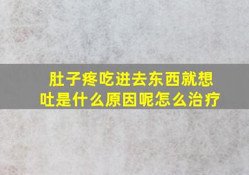 肚子疼吃进去东西就想吐是什么原因呢怎么治疗