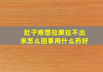 肚子疼想拉屎拉不出来怎么回事用什么药好