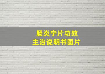 肠炎宁片功效主治说明书图片