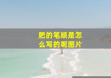 肥的笔顺是怎么写的呢图片