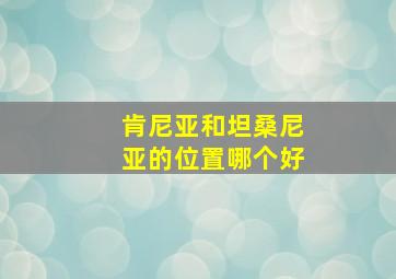 肯尼亚和坦桑尼亚的位置哪个好