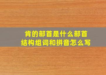 肯的部首是什么部首结构组词和拼音怎么写