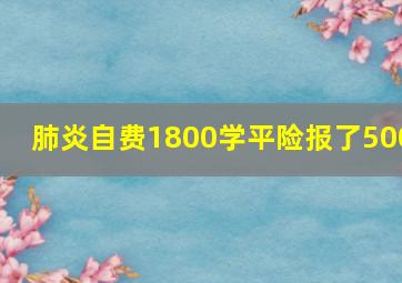 肺炎自费1800学平险报了500