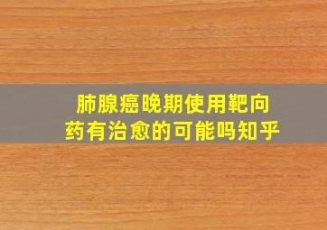 肺腺癌晚期使用靶向药有治愈的可能吗知乎