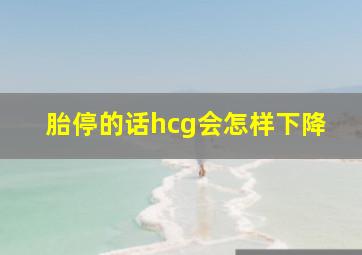 胎停的话hcg会怎样下降