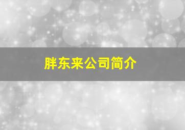 胖东来公司简介