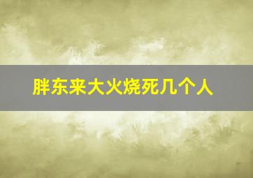 胖东来大火烧死几个人