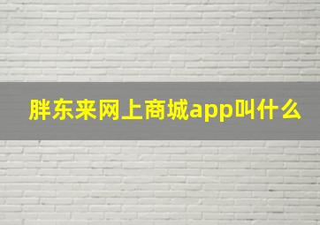 胖东来网上商城app叫什么