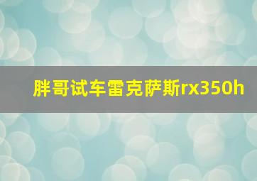 胖哥试车雷克萨斯rx350h