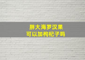 胖大海罗汉果可以加枸杞子吗