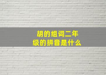 胡的组词二年级的拼音是什么