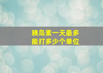 胰岛素一天最多能打多少个单位