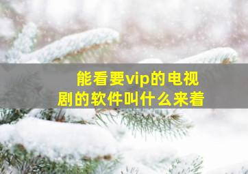 能看要vip的电视剧的软件叫什么来着