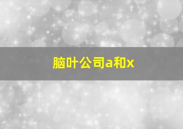 脑叶公司a和x