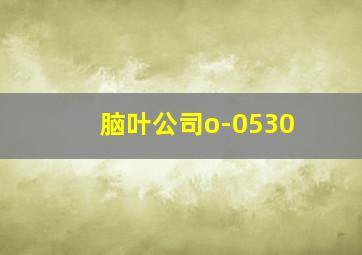 脑叶公司o-0530