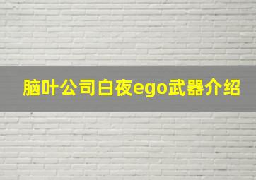 脑叶公司白夜ego武器介绍