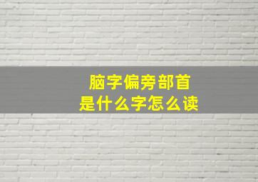 脑字偏旁部首是什么字怎么读