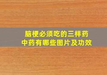 脑梗必须吃的三样药中药有哪些图片及功效